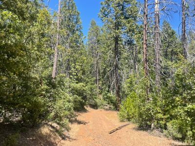 10 Wild Rose Ln, Coulterville, CA, 95311