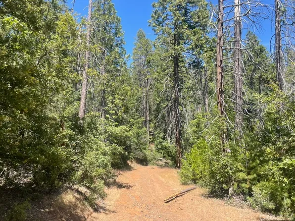 10 Wild Rose Ln, Coulterville, CA 95311