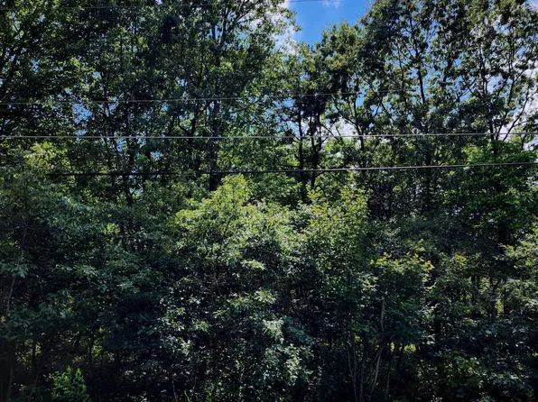 F544 Drakes Dr, Jim Thorpe, PA 18229