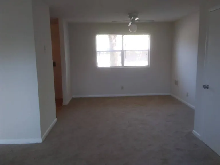 Azalea Place Apace Apartments — Photo 6