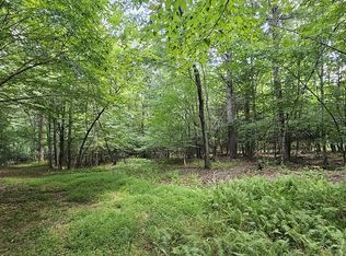 2455 Red Creek Rd, Dryfork, WV 26263