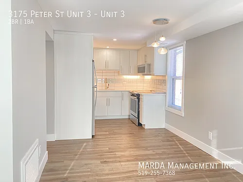 3175 Peter St Photo 1
