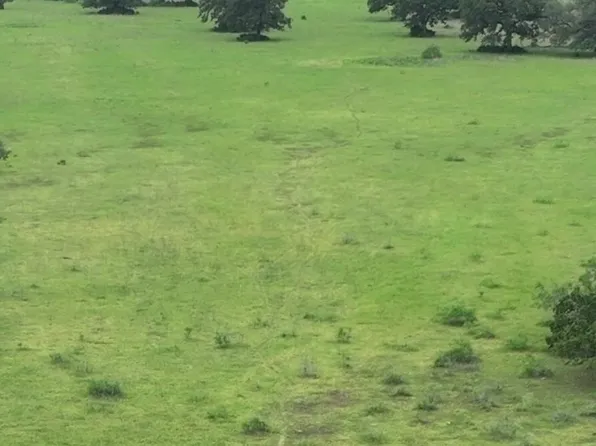County Road 127 Block 1 County Road 127 Rd Lot 1, Ledbetter, TX 78946