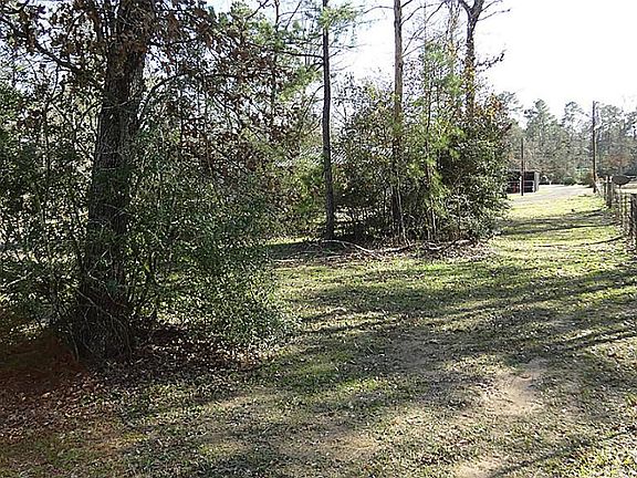 This is the view of the west fence line from the front yard, directly behind where the previous pict