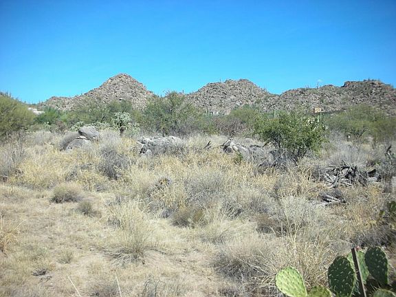 2nd image of 14341 N Giant Saguaro Pl