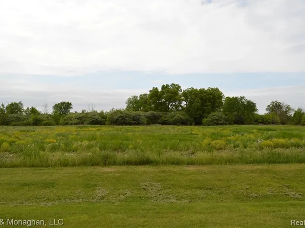 6811 Starville Rd, Cottrellville, MI 48039