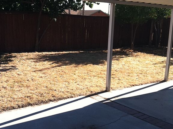 Back yard