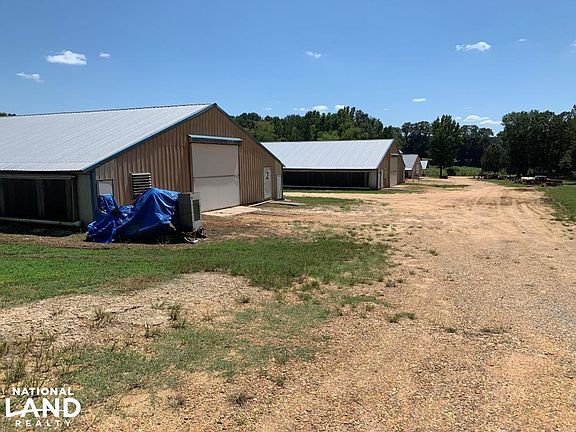Looking the Line of Chicken Houses