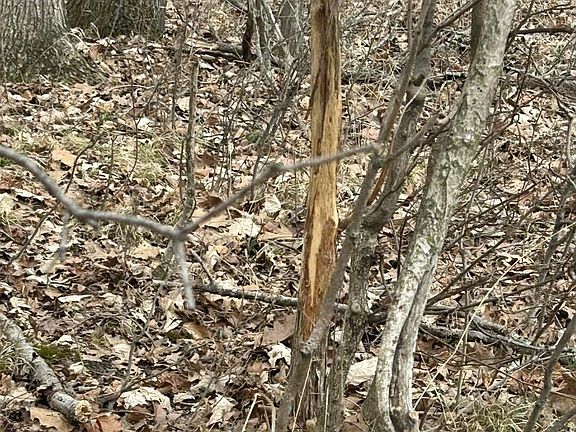 5th image of S Pittsford Rd #-v/l