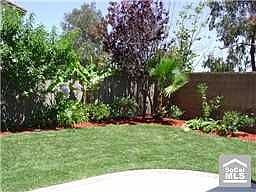 green verdant backyard  with patio