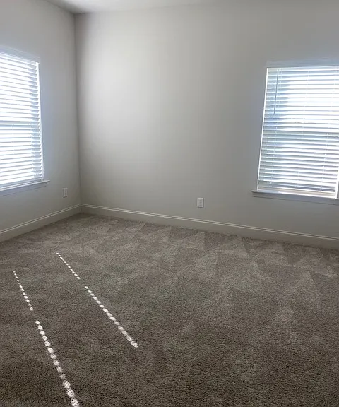Bedroom 2, carpet and windows
