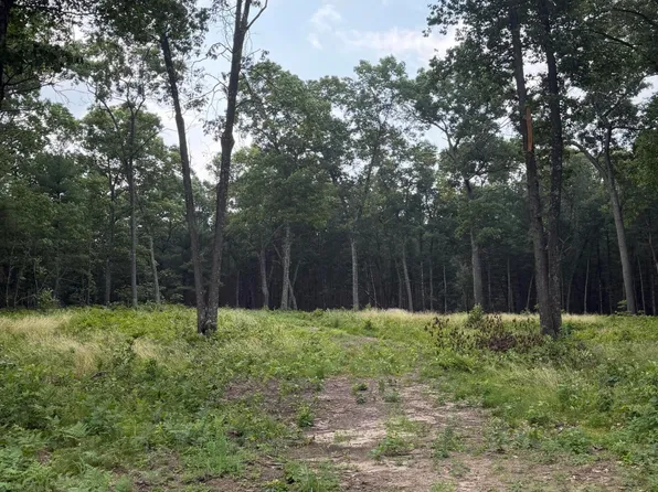 1099 Chicago Dr Lot 20, Whitehall, MI 49461