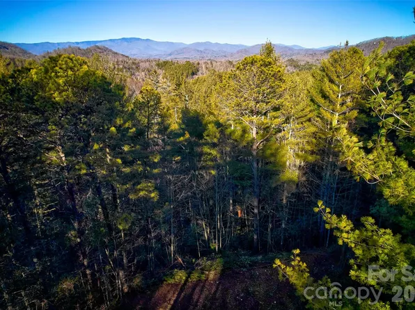0 Piney Cove Rd, Bryson City, NC 28713
