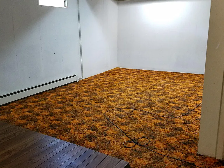 521 N Hagadorn Rd — Photo 18