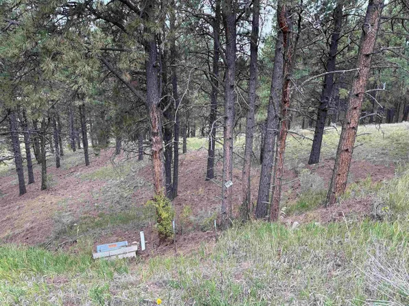 8 Valley Rd, Angel Fire, NM 87710