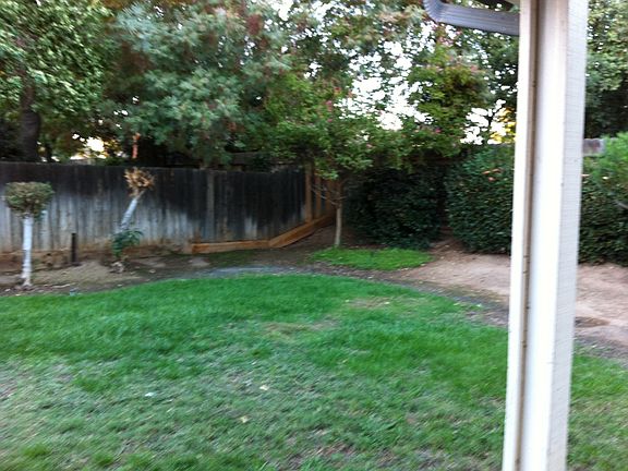 Landscaped Back yard