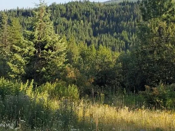 Big Carpenter Crk, Fernwood, ID 83830