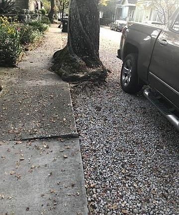 5th image of 6051 Annunciation St