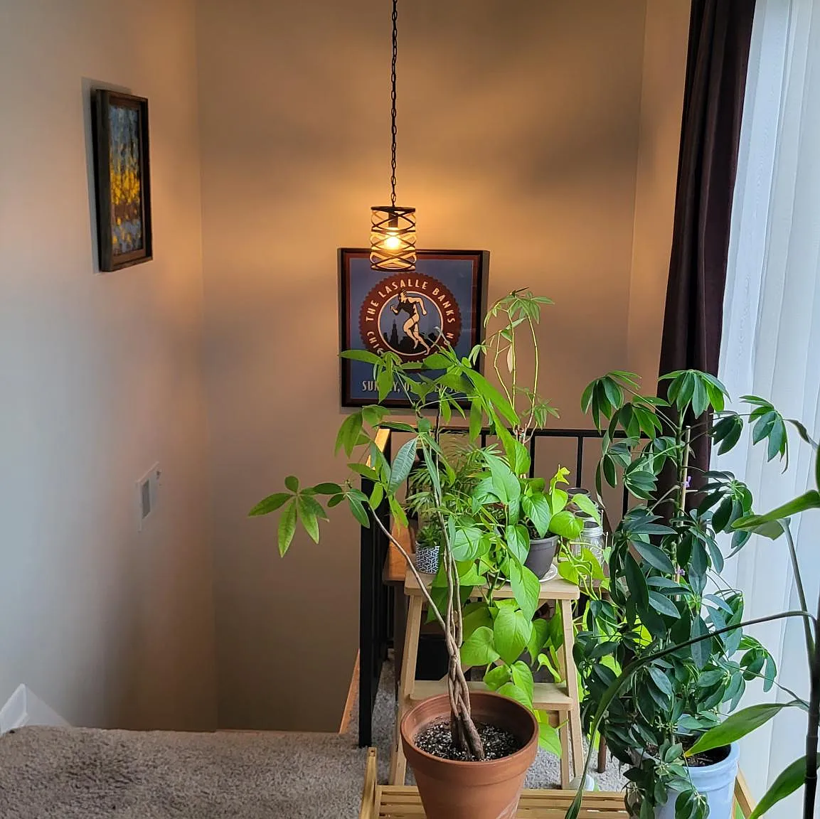 2 bed, 1197 sqft, $1,500 — Photo 2