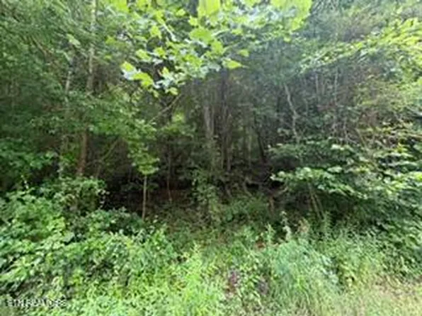 State Highway 1534, Pineville, KY 40977