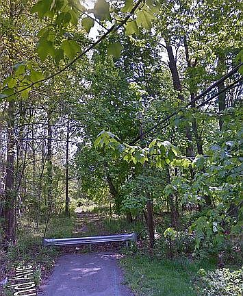 5th image of Mellinee Ave