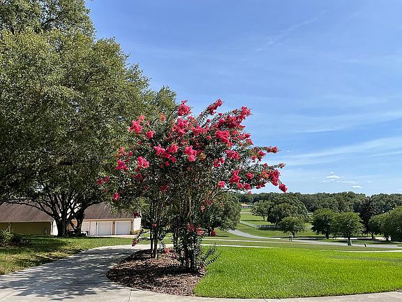5th image of 37632 Sky Ridge Cir
