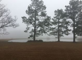 4951 Halcyondale Rd, Sylvania, GA 30467