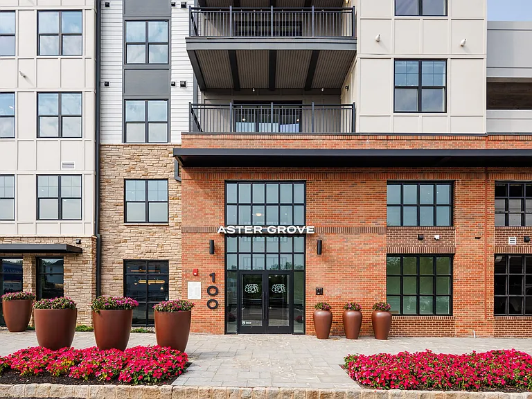 Aster Grove — Photo 64