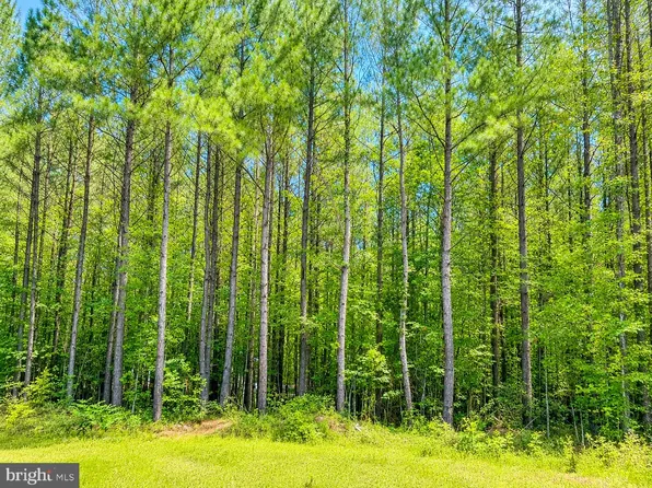 Governor Almond Rd, Locust Grove, VA 22508