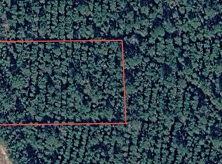 15576 Forest Grove Dr, Willis, TX 77378