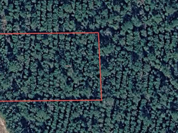 15576 Forest Grove Dr, Willis, TX 77378