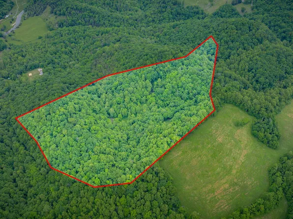 Mineral Hill Ln, Gate City, VA 24251