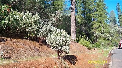 2nd image of Quartz Mountain Rd