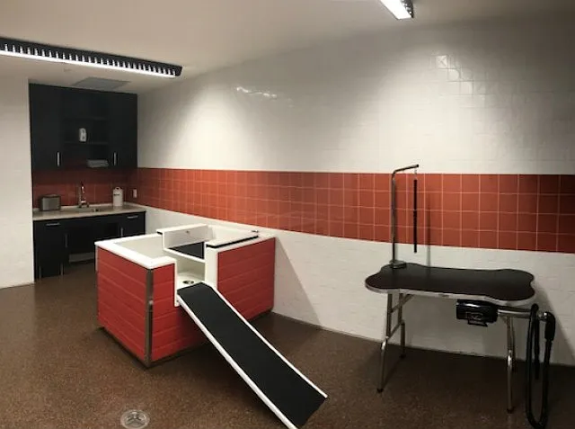 Pet Spa
