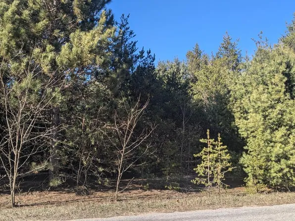 0 10th St N, Bear Lake, MI 49614