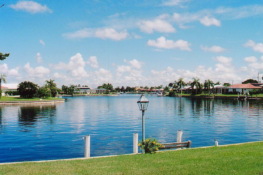 View from backyard