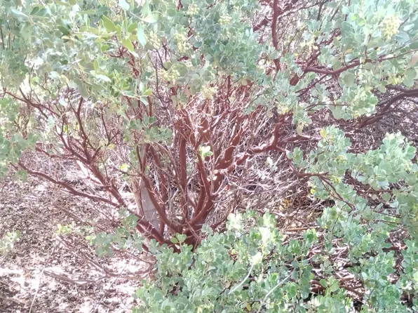 0 Pine Springs Rd #19, Caliente, CA 93518