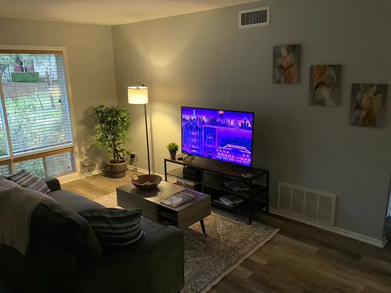 Large TV with wi-fi and Roku