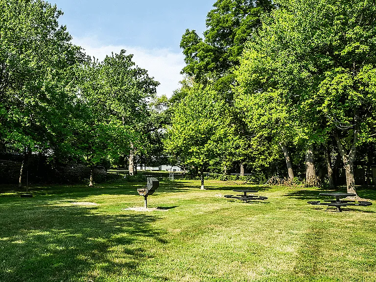 Your Pets Will Love Our Pet Park