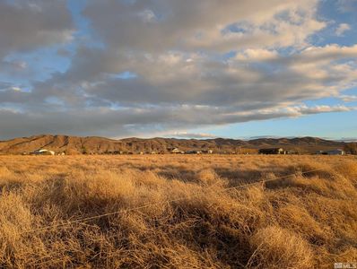 590 Pete Henrichs Rd, Yerington, NV, 89447