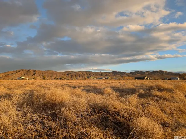 590 Pete Henrichs Rd, Yerington, NV 89447