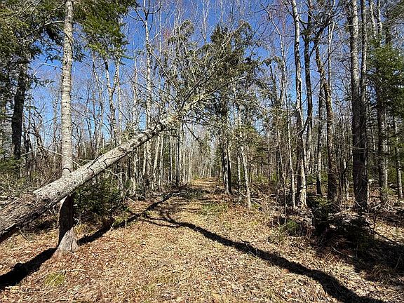 4th image of Lot 016-2 142 Old Fisher Rd Road