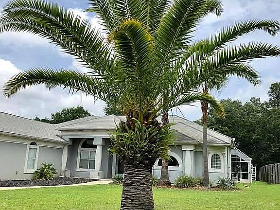 5th image of 4112 Bamboo Dr