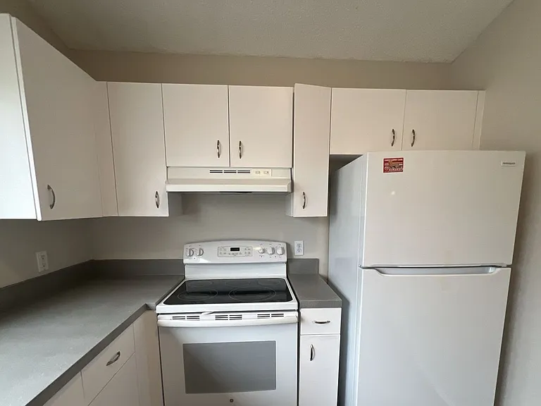 319 Oak Track Dr — Photo 7