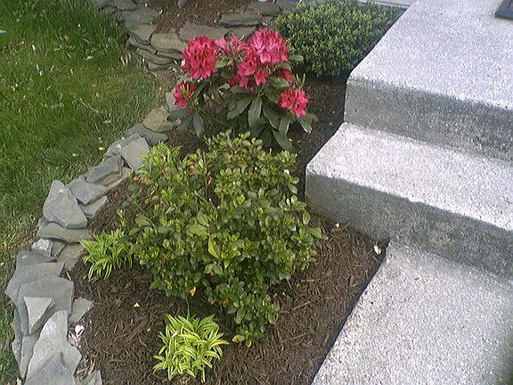 4th image of 573 Melissa Ct