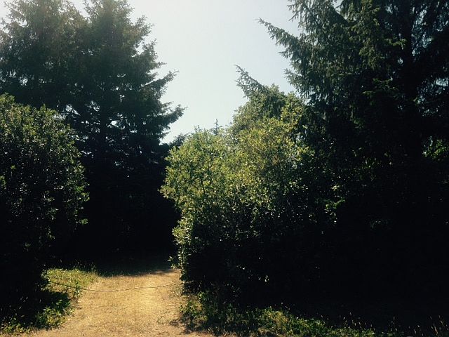 1st image of 385 Orion Ave SW