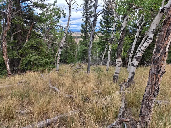 1844 High Creek Road, Fairplay, CO 80440