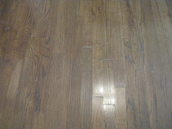 4th image of 1088 Nicole Pl