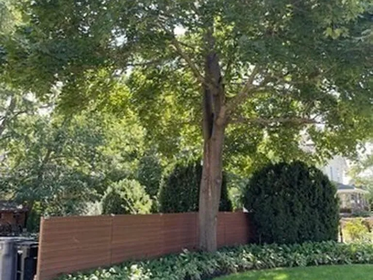 10 Cove Ave — Photo 7