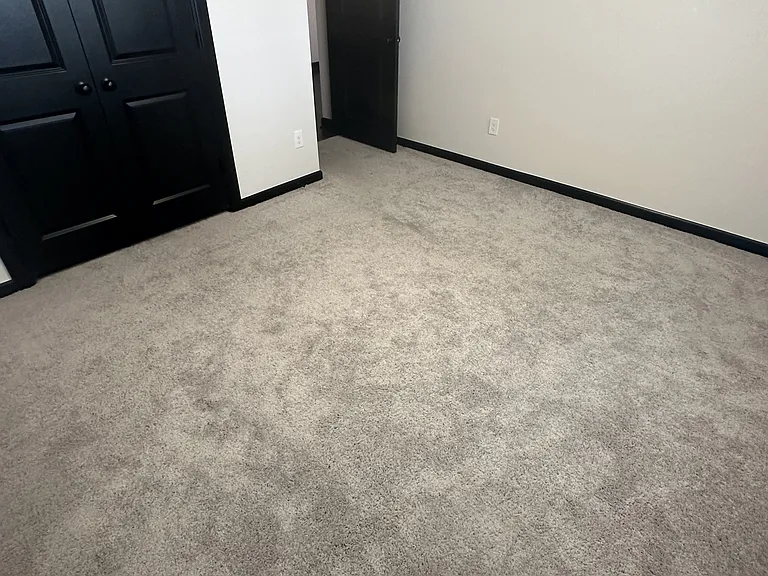 2229 Roca Dr — Photo 38